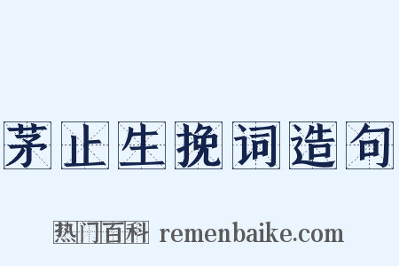 茅止生挽词造句是什么意思的图片